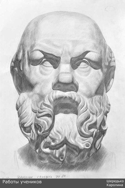 Сократ рисунок гипсовой головы поэтапно фото