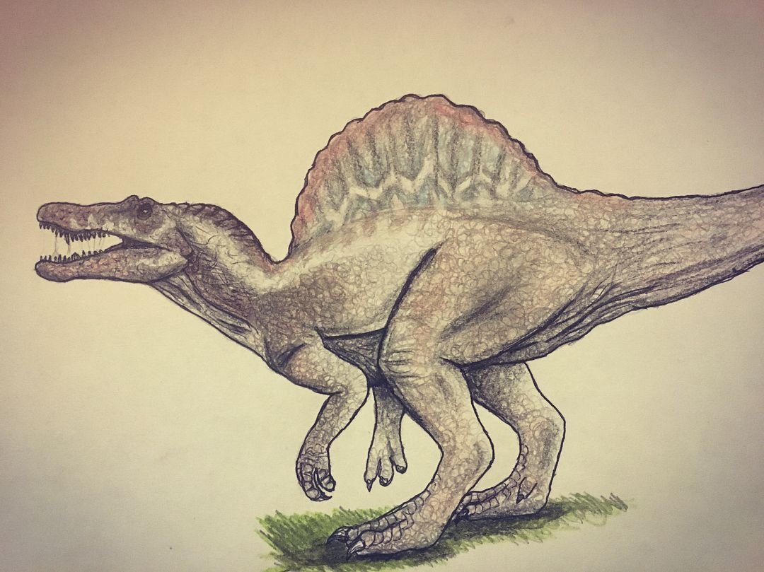 Спинозавр рисунок детский фото