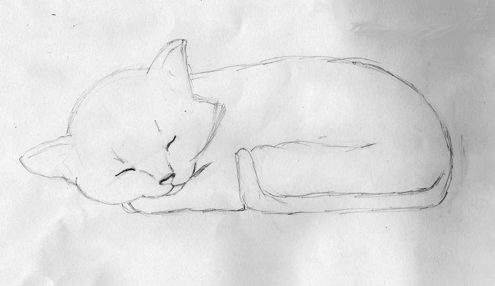 Спящий котенок детский рисунок фото