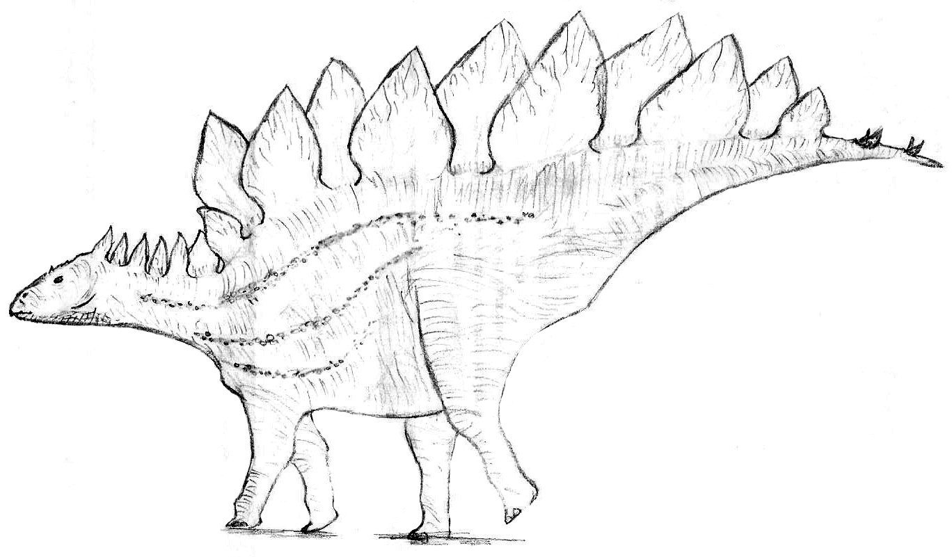 Стегозавр рисунок поэтапно фото
