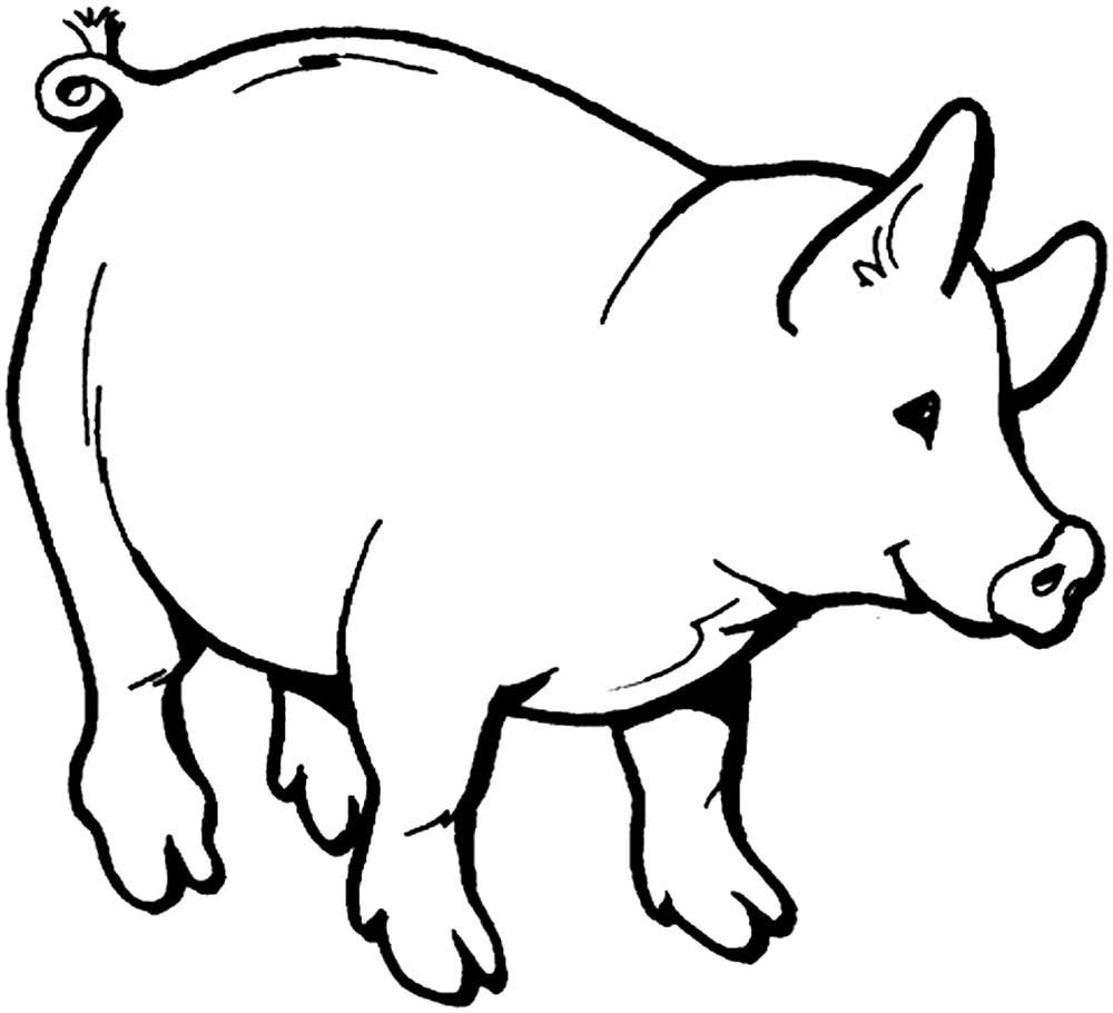 Свинья контурный рисунок фото