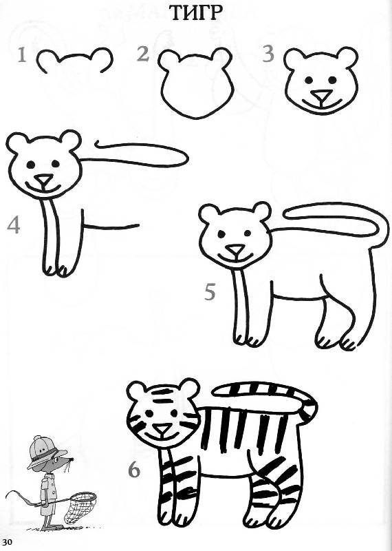 Тигр поэтапно для детей рисунок фото
