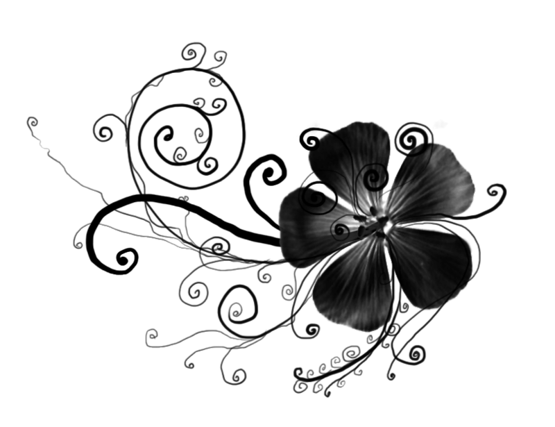 Цветочек черно белый на прозрачном фоне фото