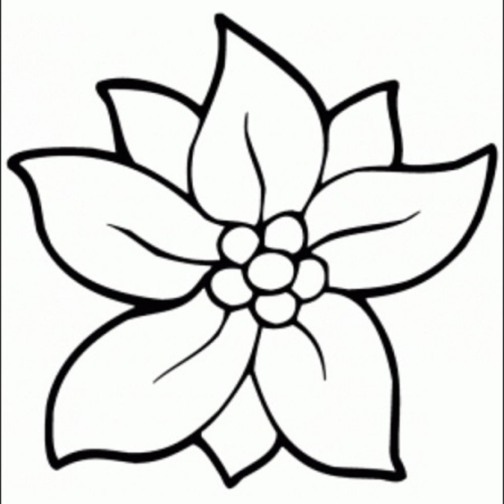 Цветок рисунок карандашом простой детский фото
