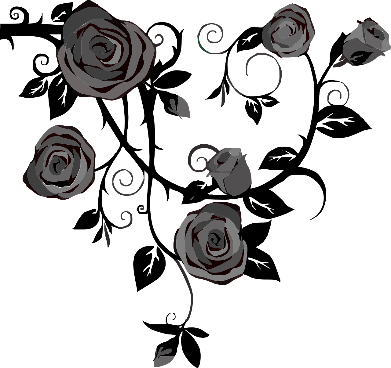 Цветы черно белые на прозрачном фоне фото