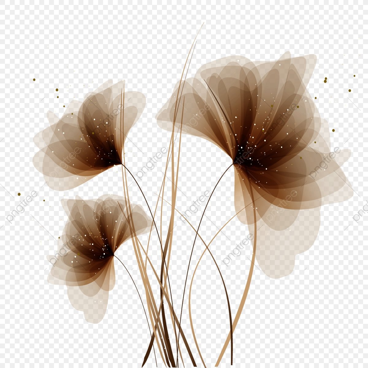 Цветы коричневые на прозрачном фоне фото