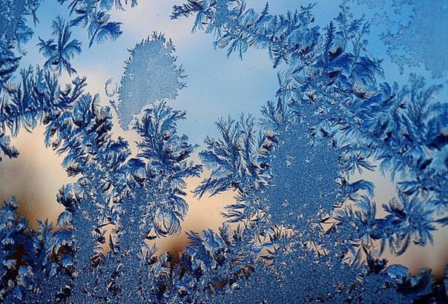 Узоры на окнах зимой рисунки фото