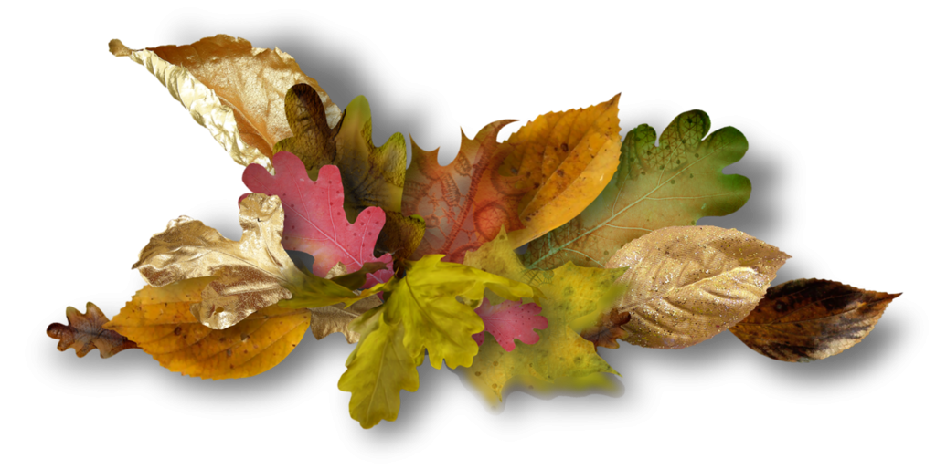 Венок из осенних листьев на прозрачном фоне фото