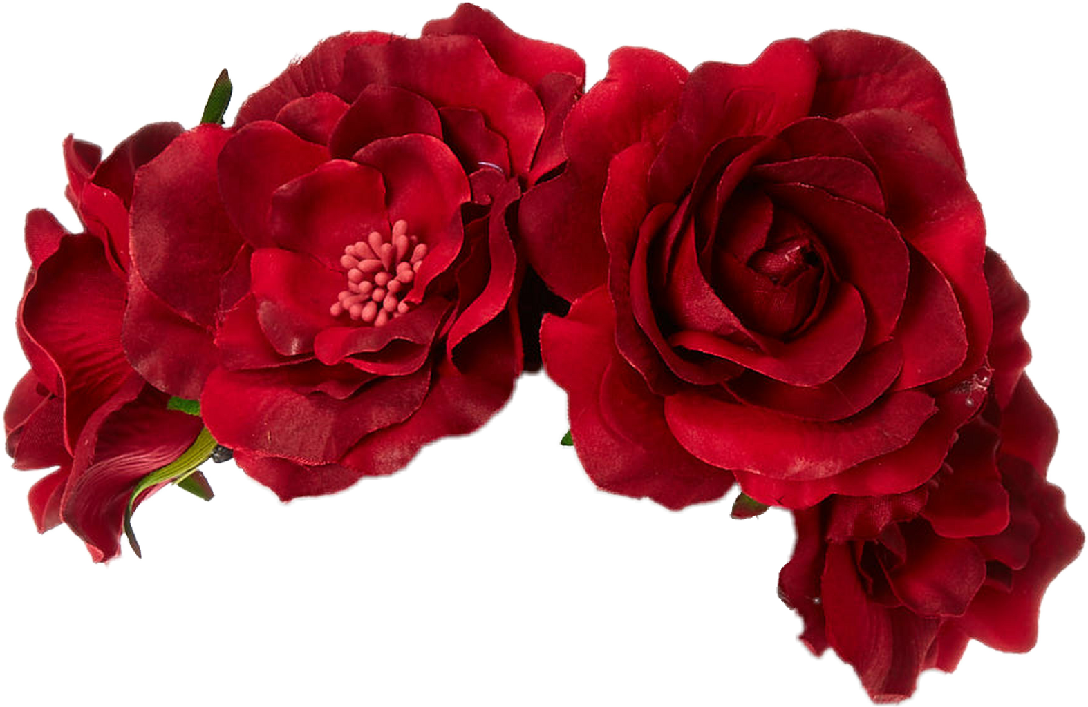 Венок из роз на прозрачном фоне фото