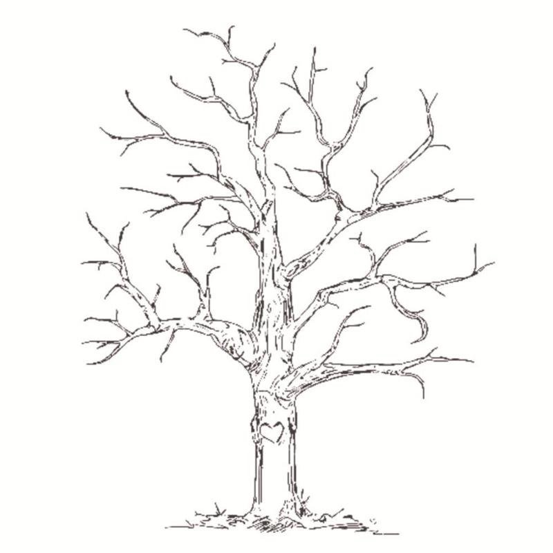 Ветвистое дерево рисунок детский фото