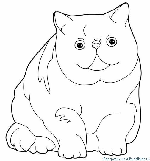 Вислоухий кот рисунок детский фото