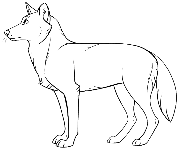 Волк детский рисунок легкий фото