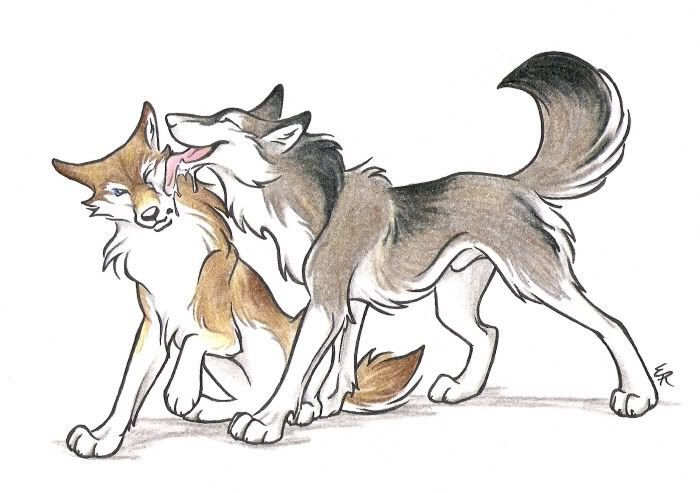 Волк и лиса рисунок детский фото