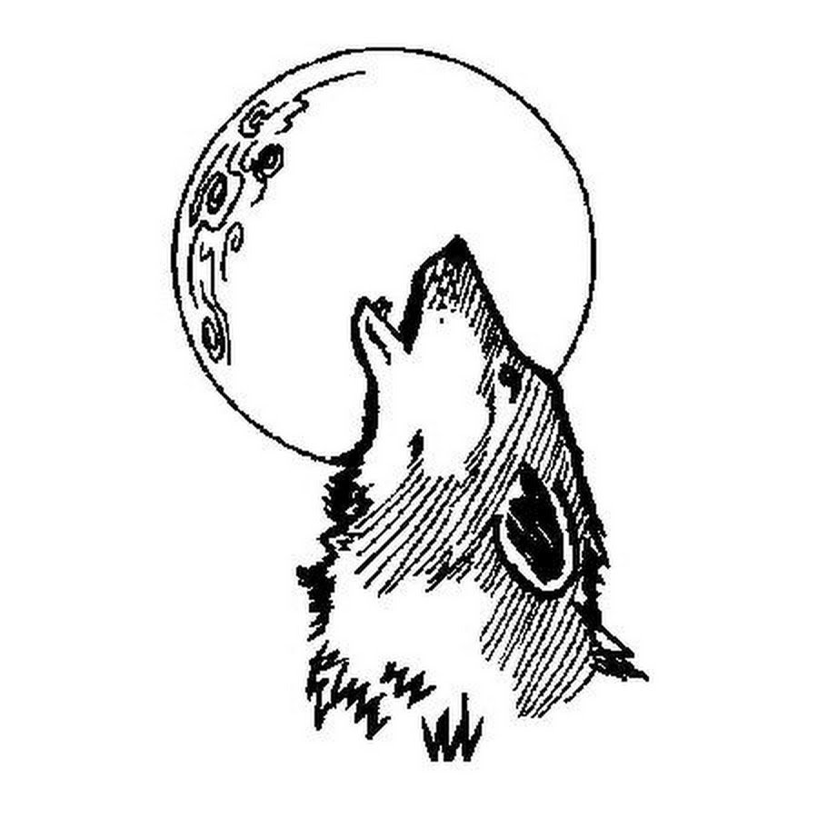 Волк воет на луну контурный рисунок фото