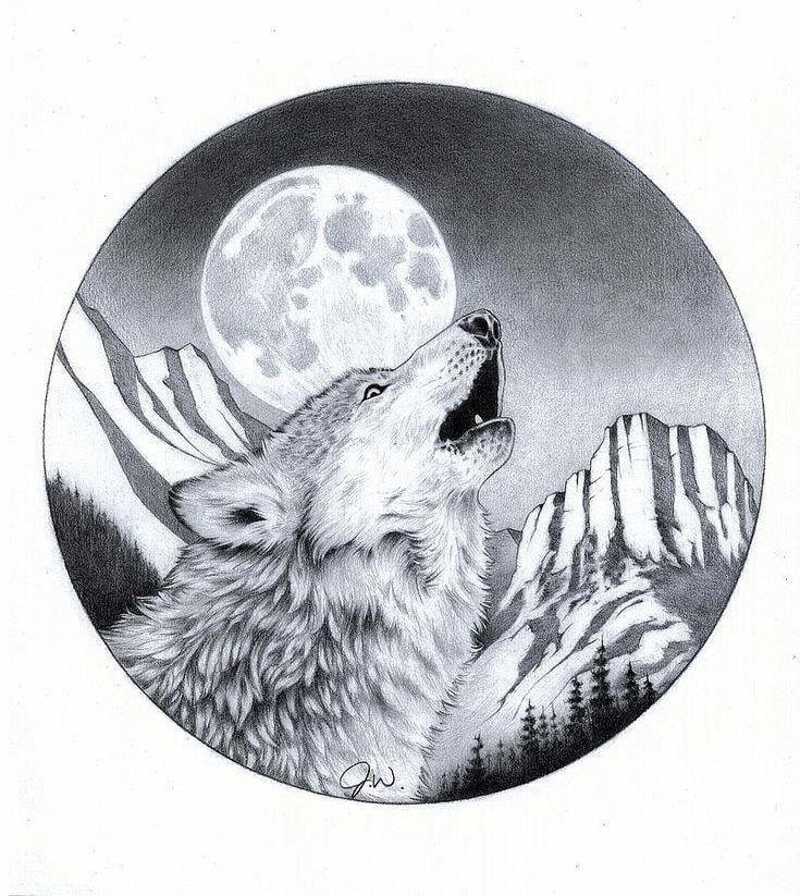 Волк воет на луну рисунки тату фото