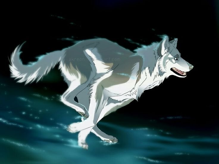 Воющий волк рисунки аниме фото