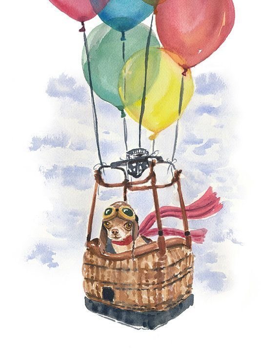Воздушный шар с животными рисунок фото