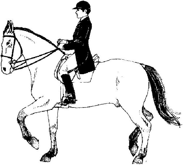 Всадник на коне рисунок детский фото