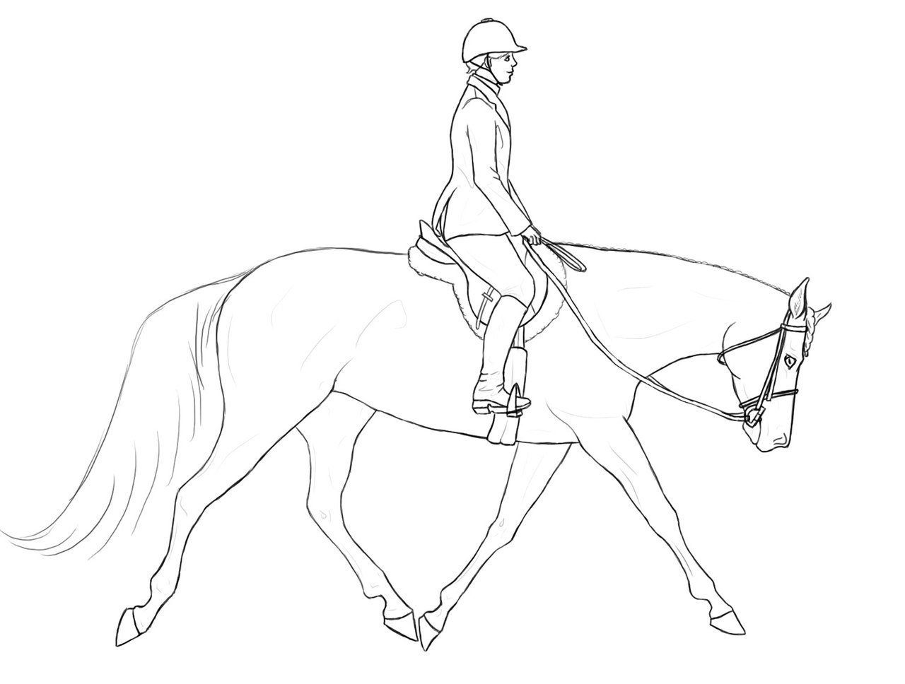 Всадник на лошади рисунок поэтапно фото