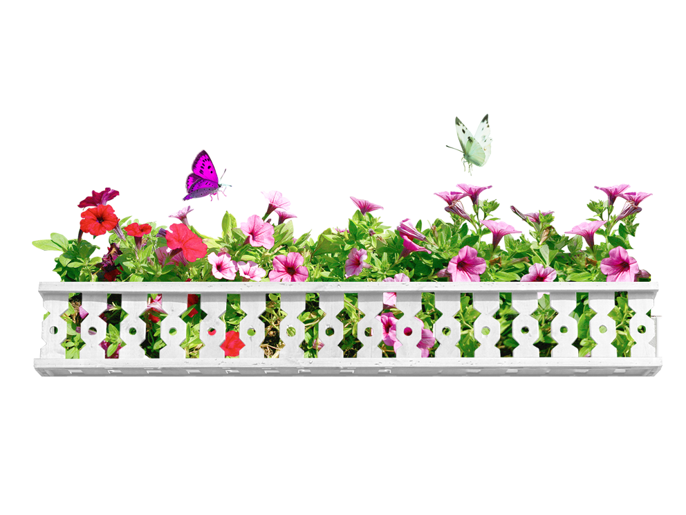 Забор из цветов на прозрачном фоне фото