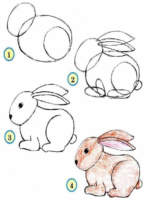 Заяц рисунок для детей простой поэтапно карандашом фото