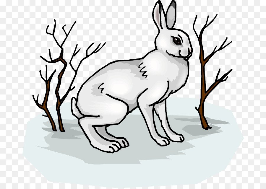 Заяц зимой детский рисунок фото