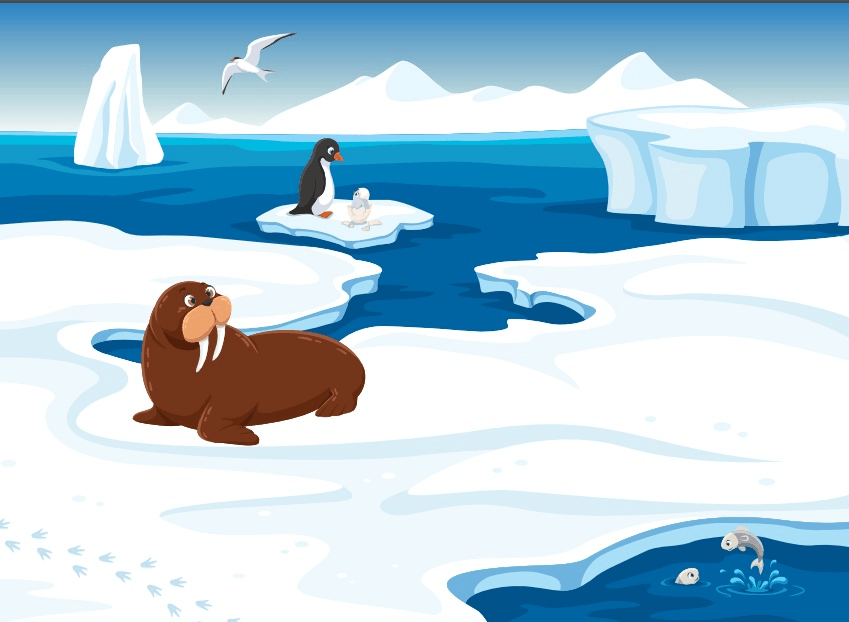 Животные антарктиды рисунки фото