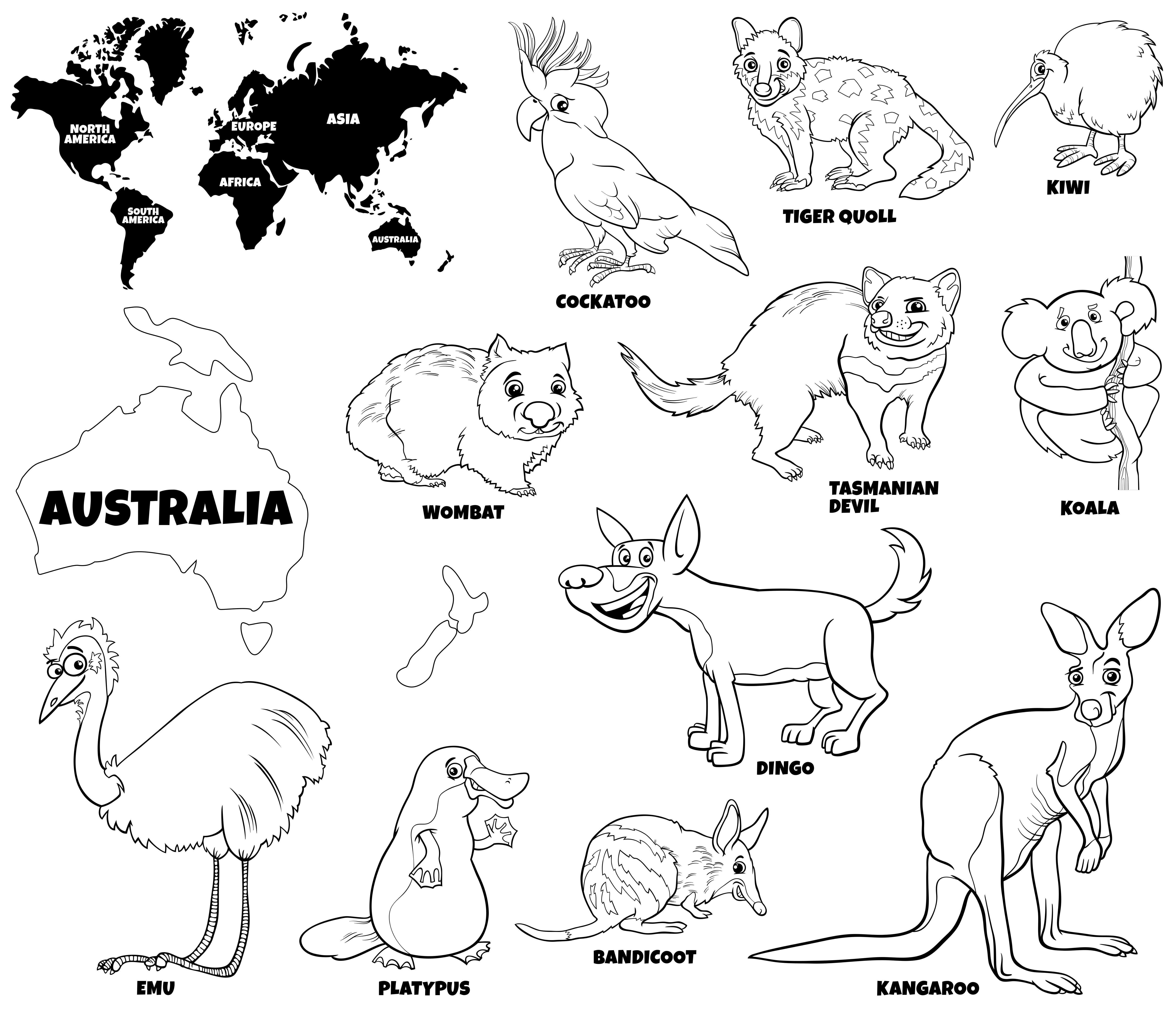 Животные австралии рисунки легко фото