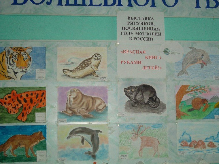 Животные красноярского края рисунки детей фото