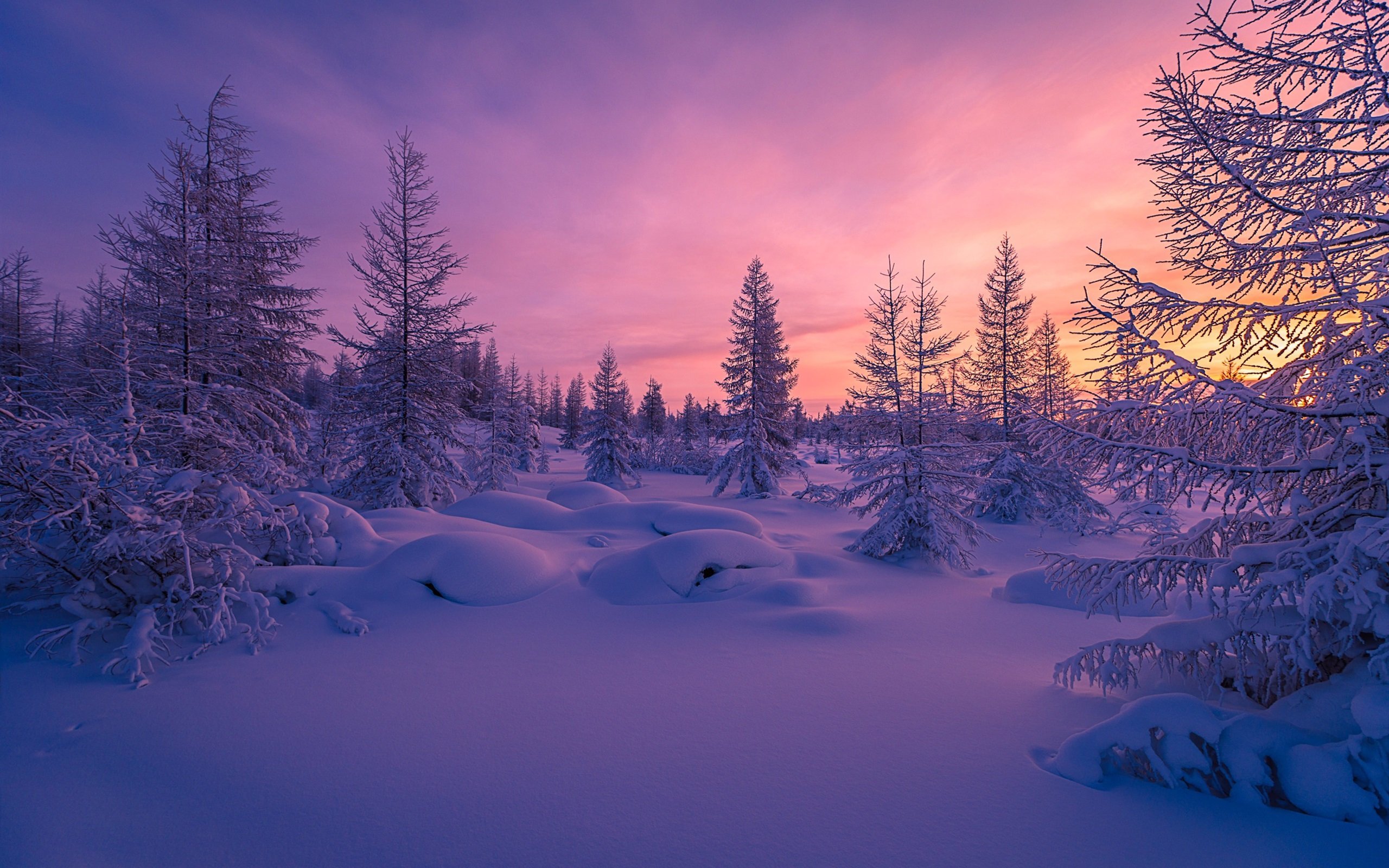 Зимний пейзаж фоновый рисунок фото