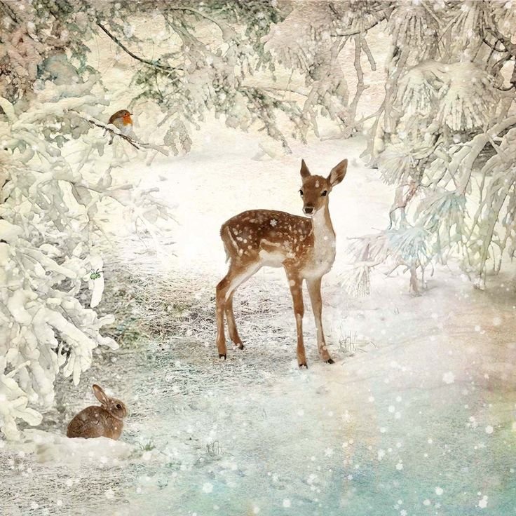 Зимний пейзаж рисунок с животными фото