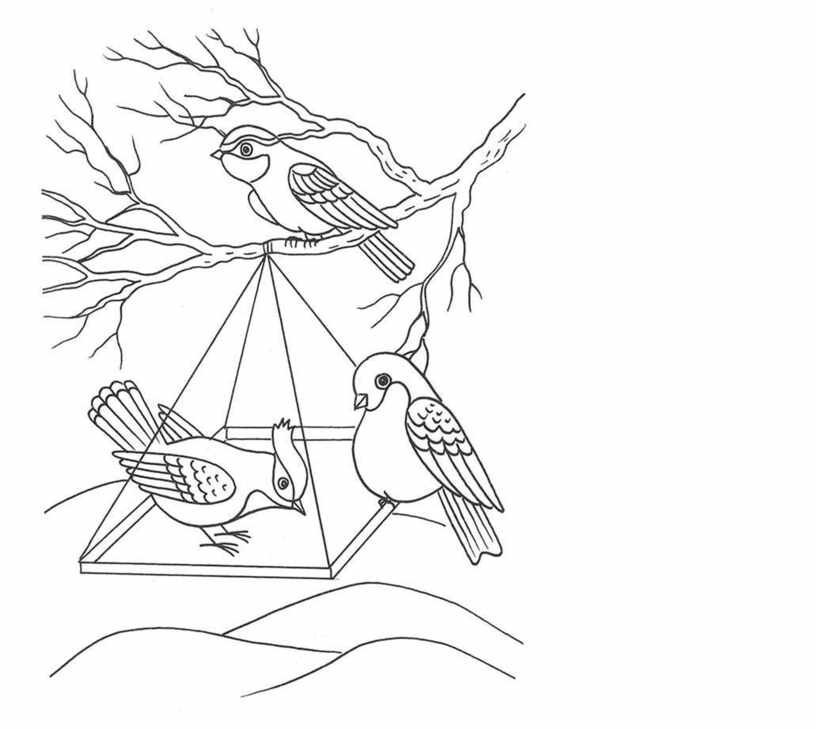 Зимующие птицы рисунки детские фото