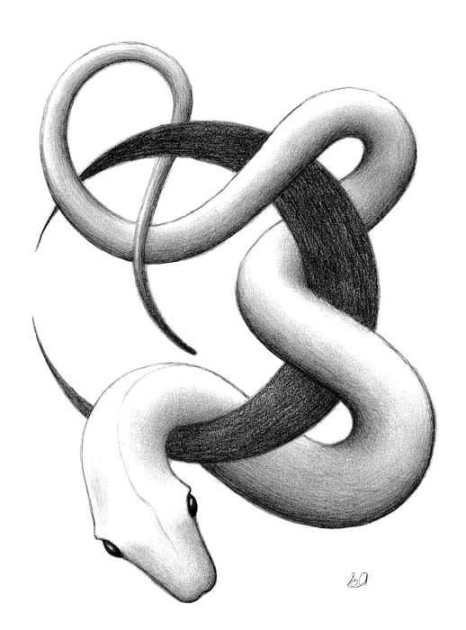 Змея рисунок карандашом тату маленькая фото